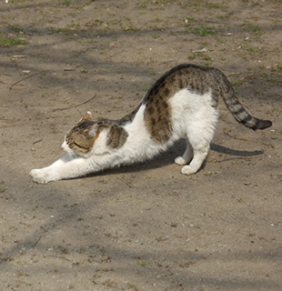 ホットヨガを私が実感した意外な効果とは・・